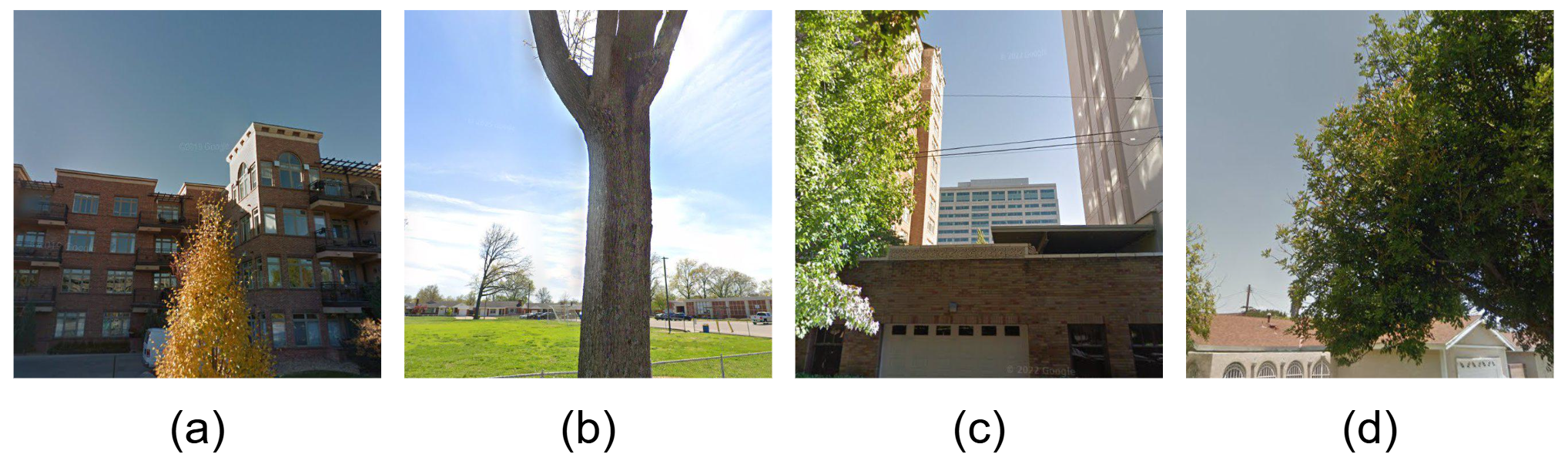 Camera viewpoint variation examples