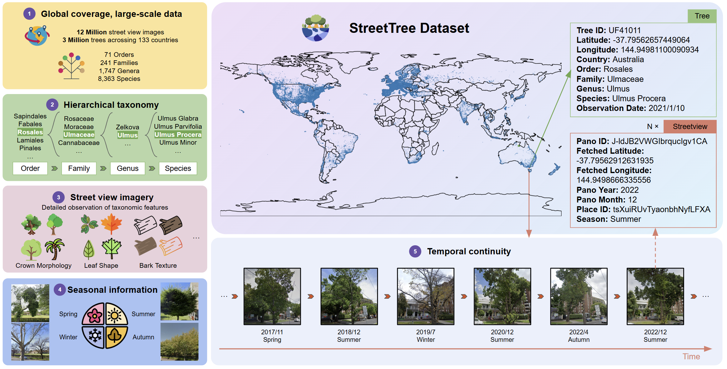 StreetTree overview