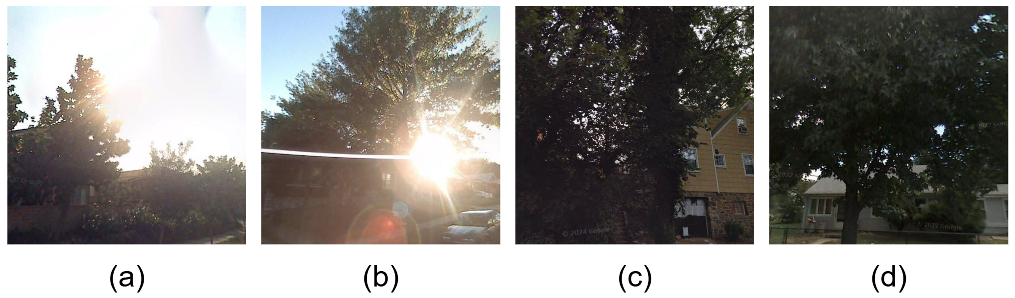 Lighting condition variation examples