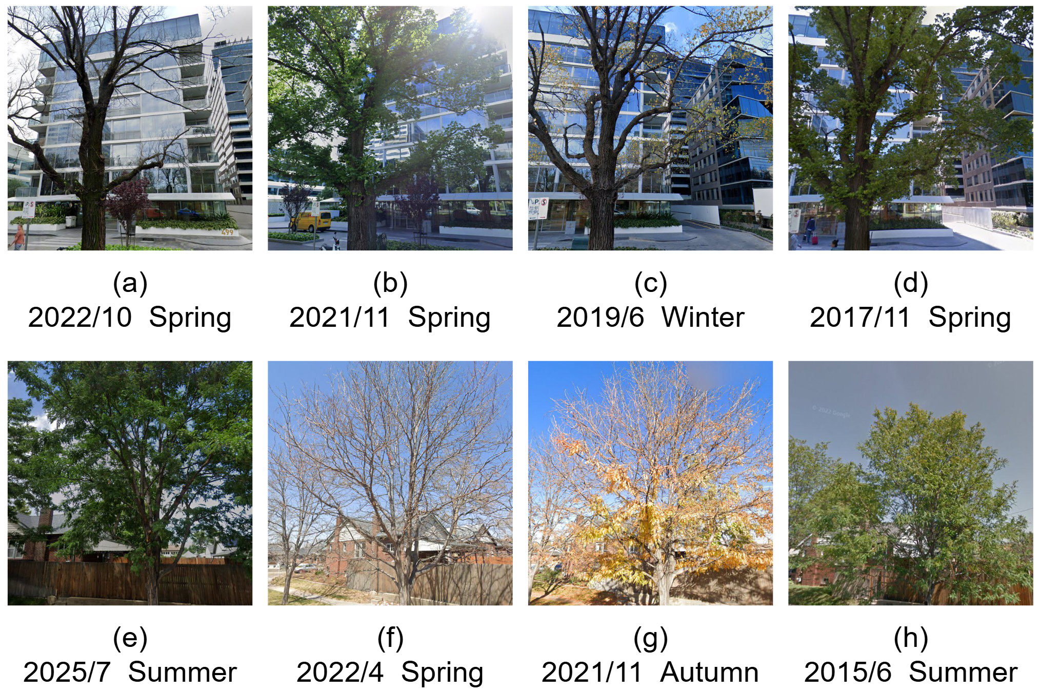 Seasonal appearance variation examples